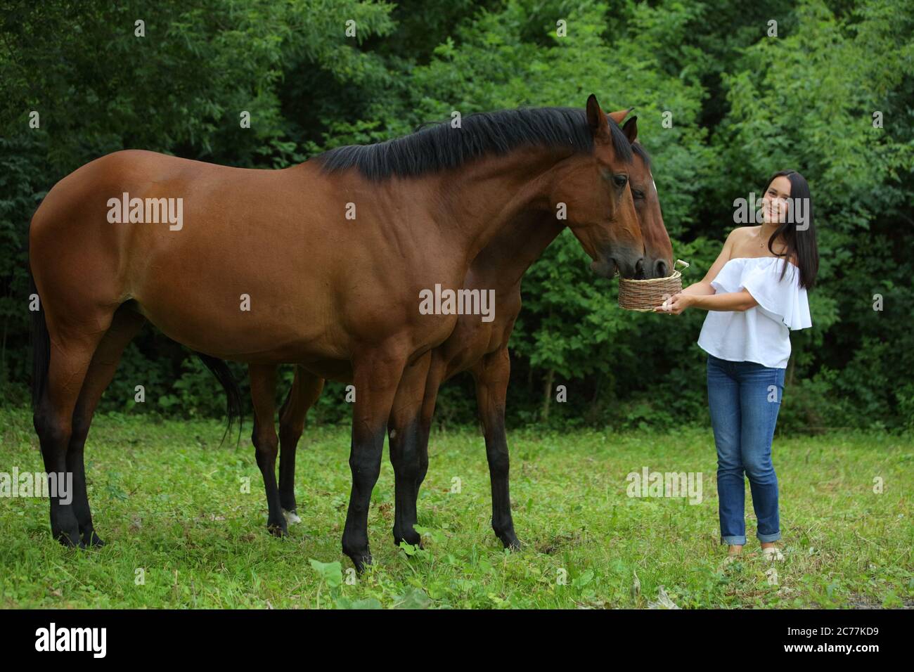 Hübsches Mädchen lächelt streichelt glatt das Pferd`s Mähne auf dem Feld. Zaum, Erwachsener. Stockfoto